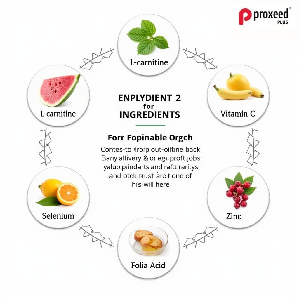 Proxeed Plus Ingredients and Benefits