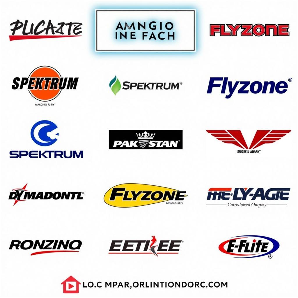 Popular RC Airplane Brands in Pakistan