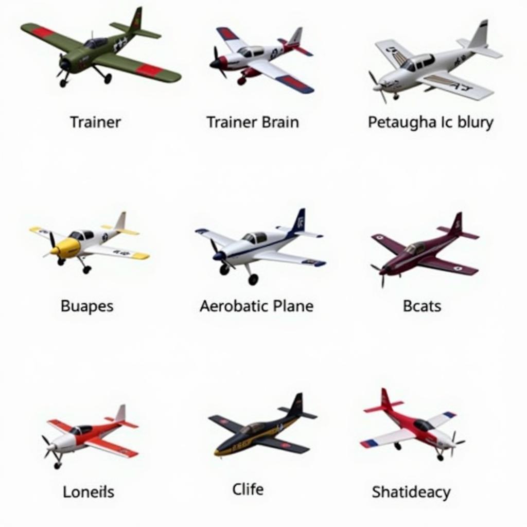 Different Types of RC Airplanes in Pakistan