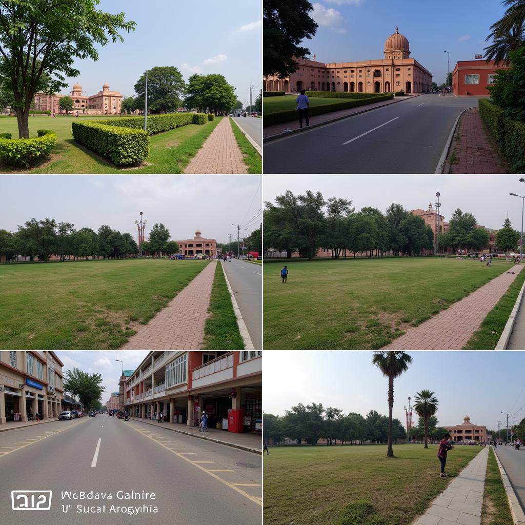 Redmi Note 10 Camera Performance in Different Lighting Conditions