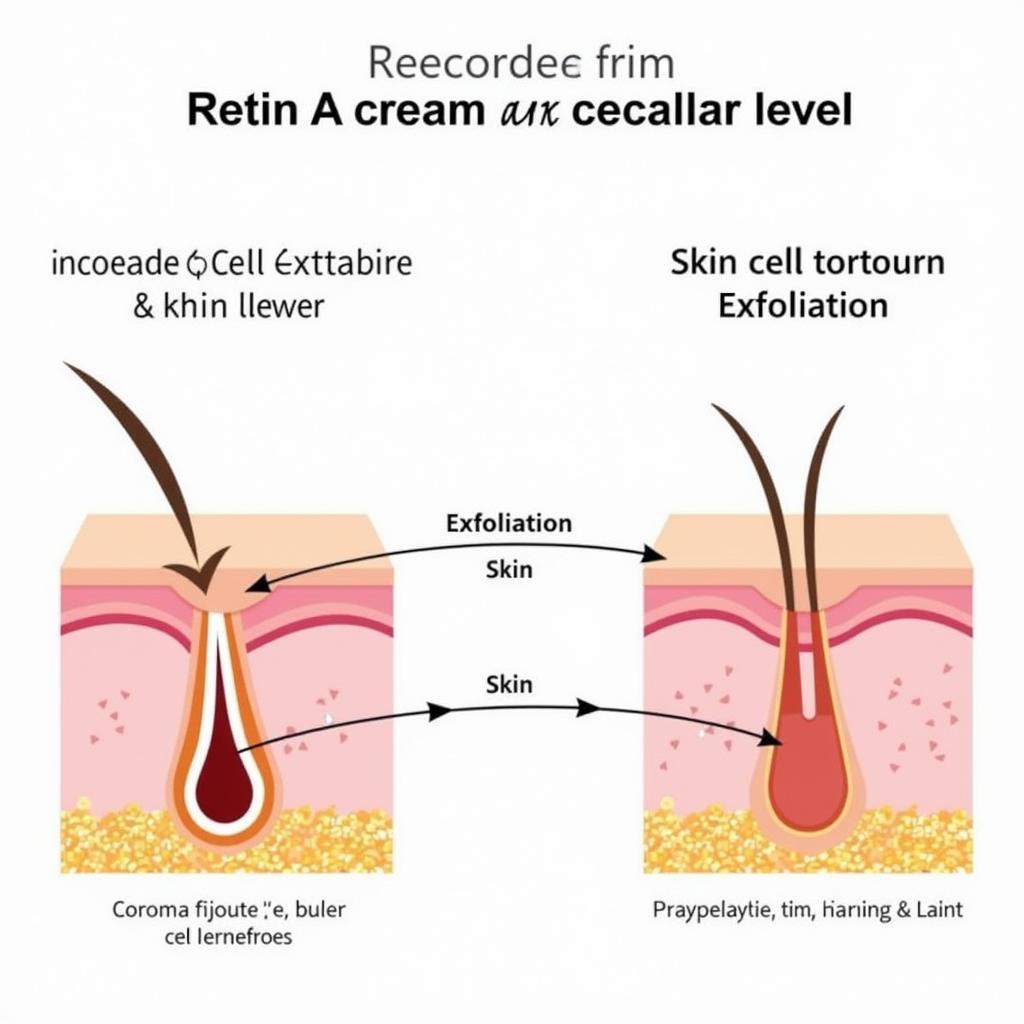 Retin A Cream Mechanism of Action