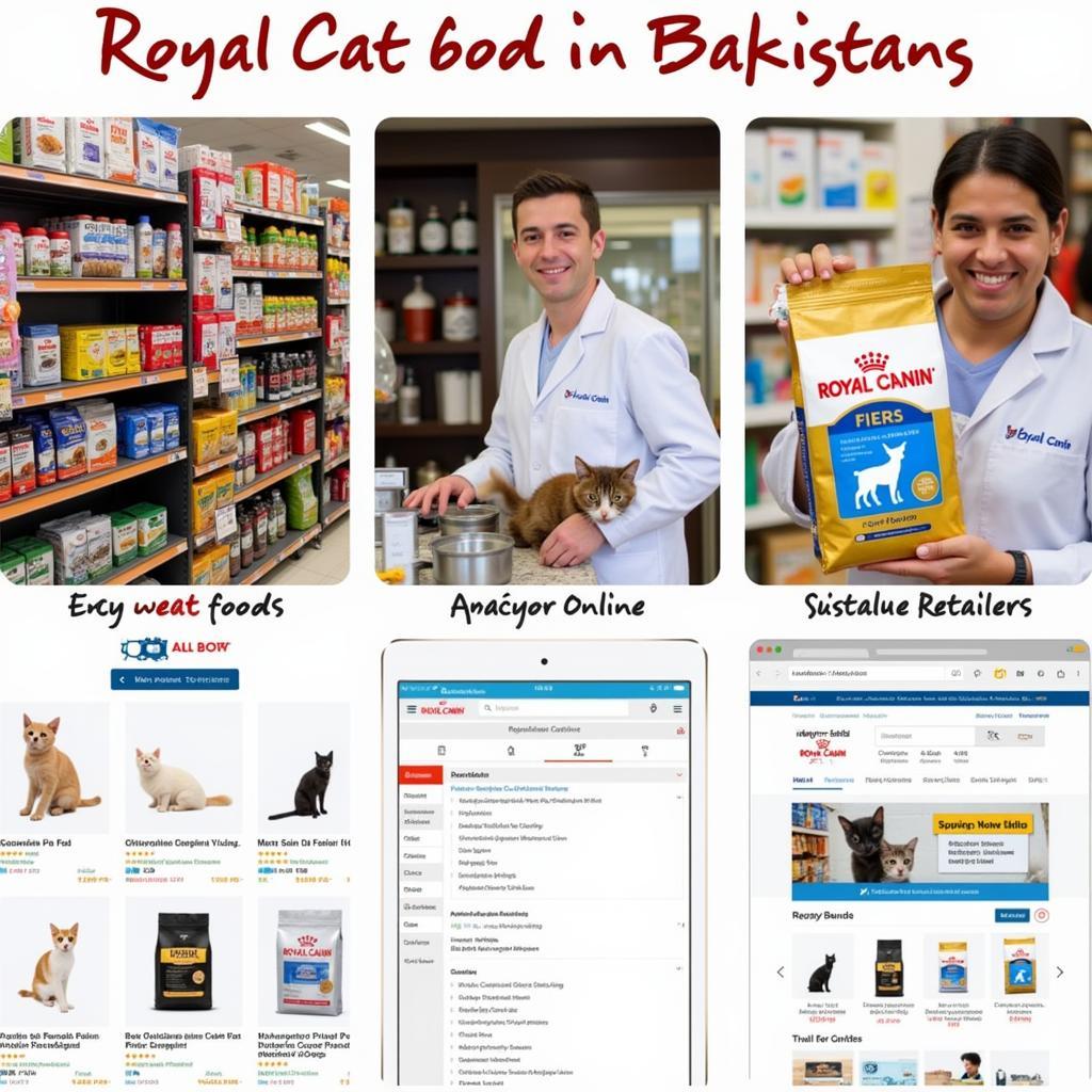 Royal Canin Cat Food Retailers in Pakistan