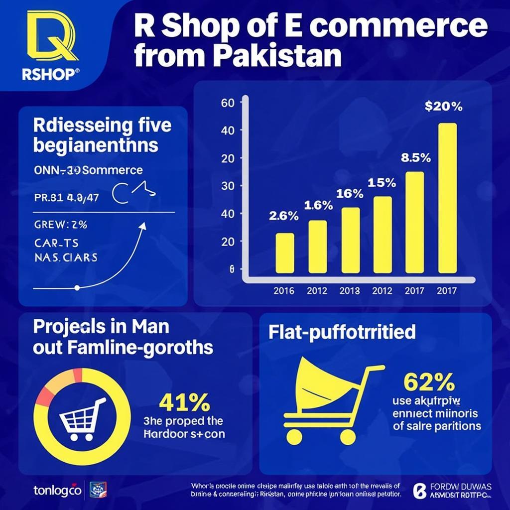 RShop Pakistan Future of E-commerce