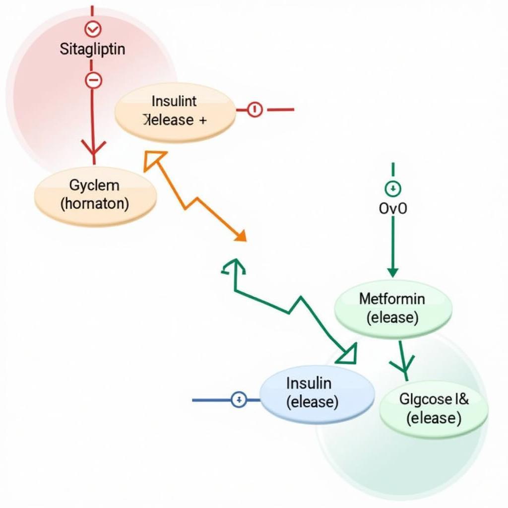 Sitamet 50 1000 Mechanism of Action