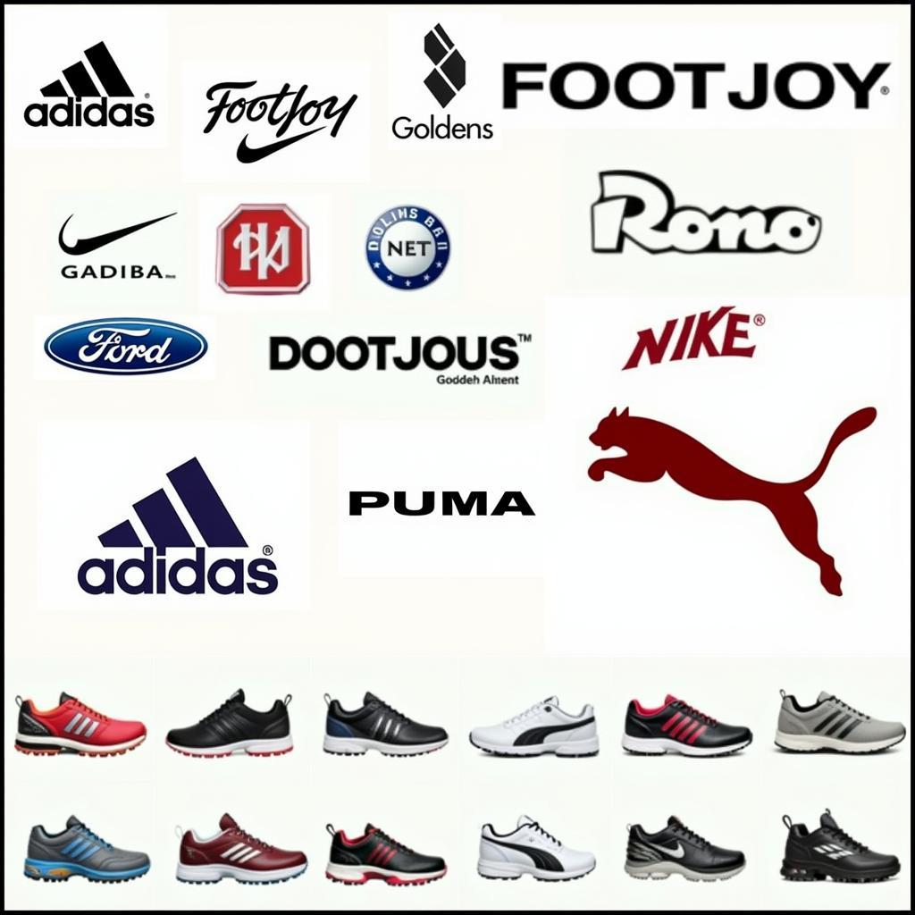 Top Golf Shoe Brands Available in Pakistan