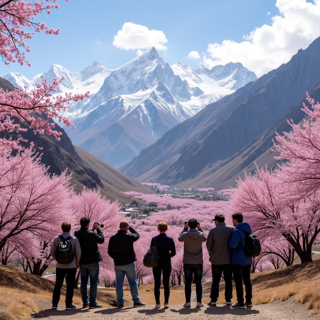 Tourists taking pictures amidst the cherry blossoms in Hunza Valley, with the snow-capped mountains in the background.