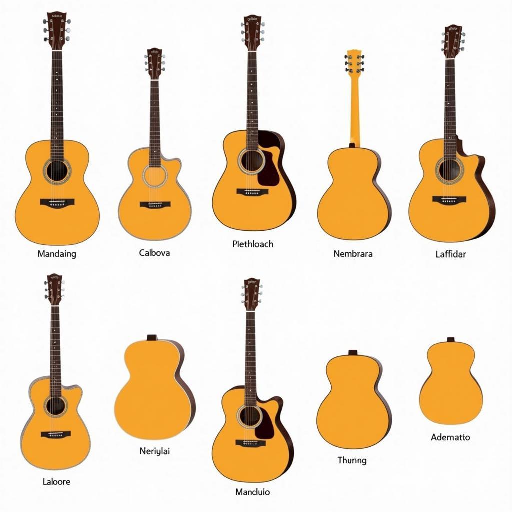 Types of Acoustic Guitars Available in Lahore