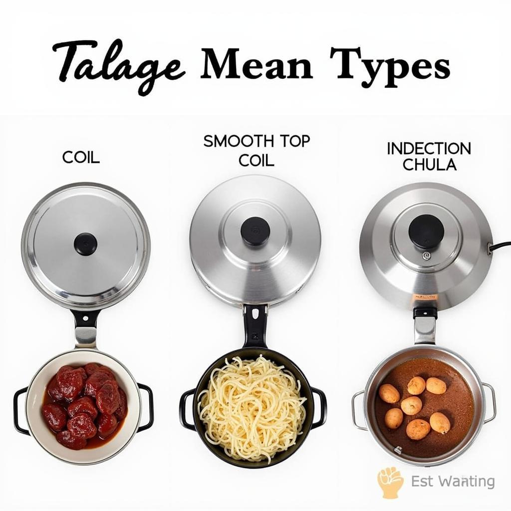 Comparison of Different Electric Chula Types