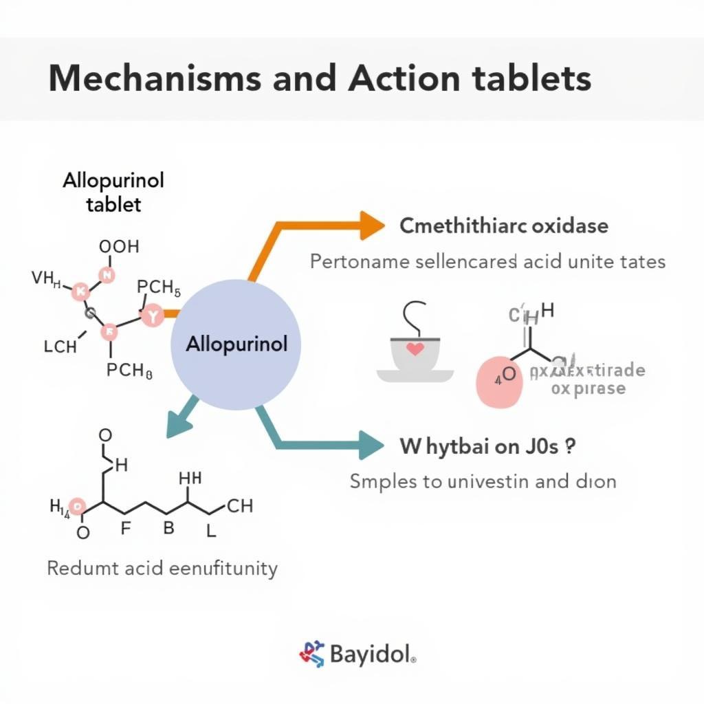 Baydal Tablet Mechanism of Action