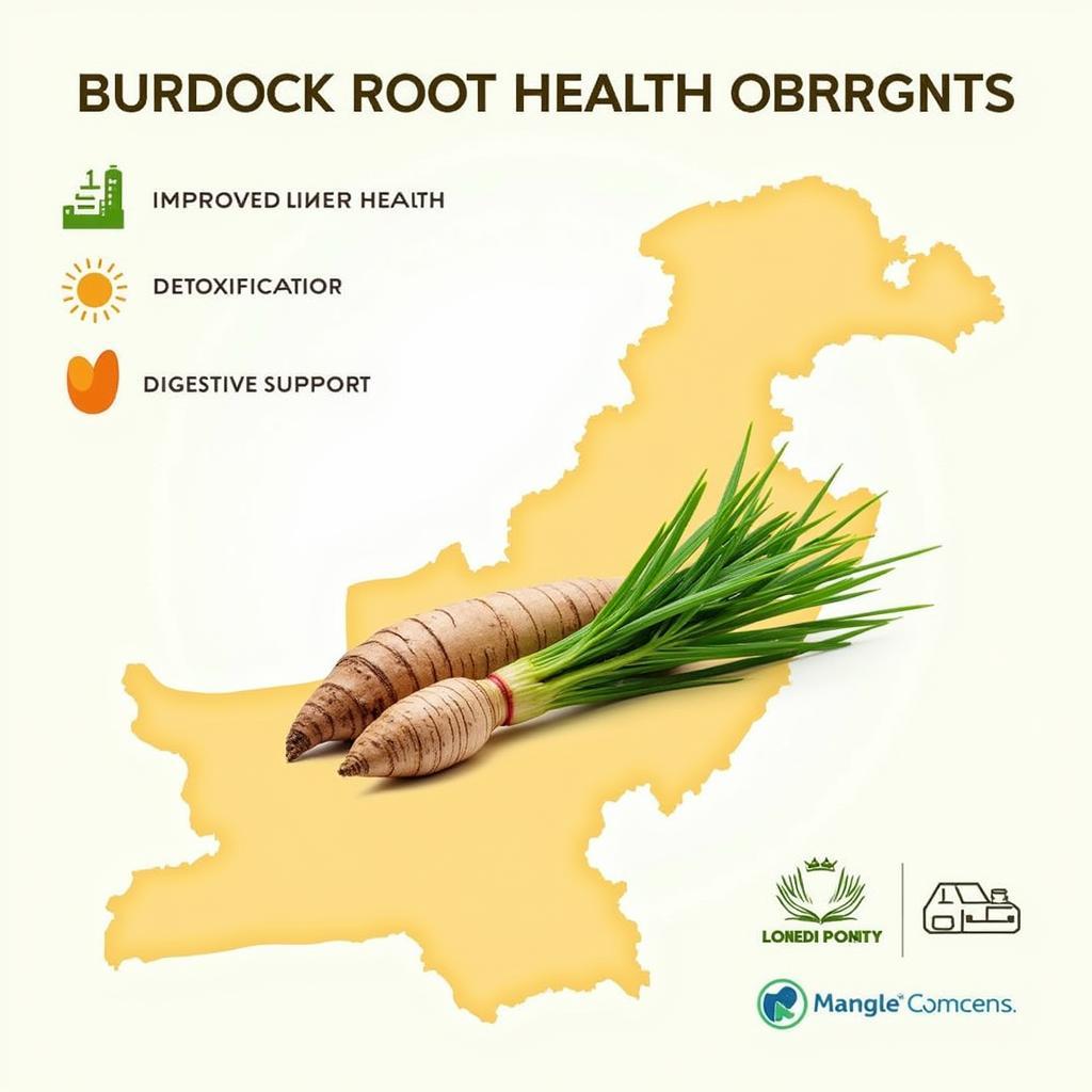 Burdock Root Health Benefits in Pakistan