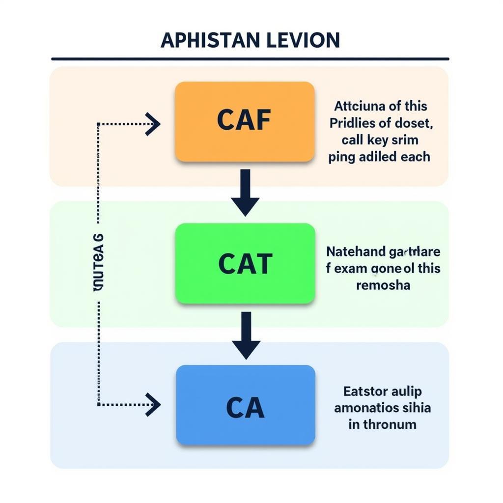 CA Qualification Levels in Pakistan