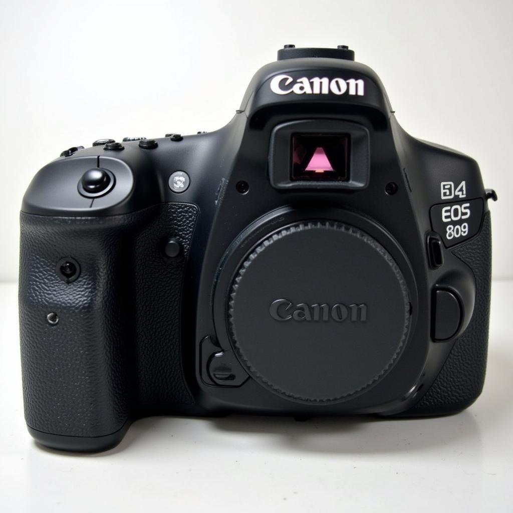 Canon EOS 80D Body