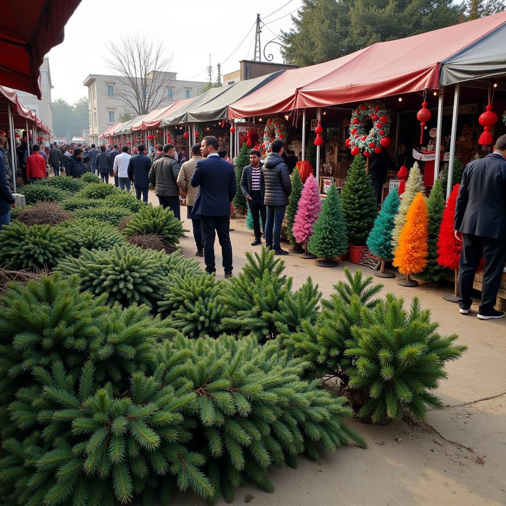 Christmas Tree Market in Pakistan