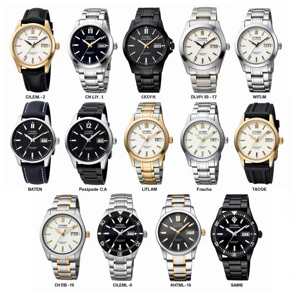 Citizen Automatic 21 Jewels Watch Collection