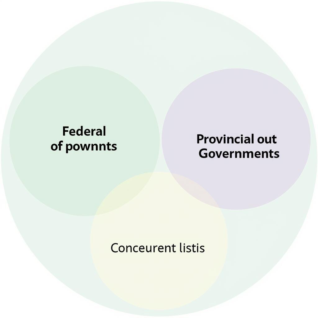 Diagram of Concurrent List in Pakistan's Constitution