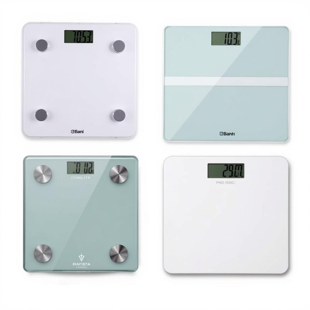 Digital Weight Scales in Pakistan: A Variety of Options