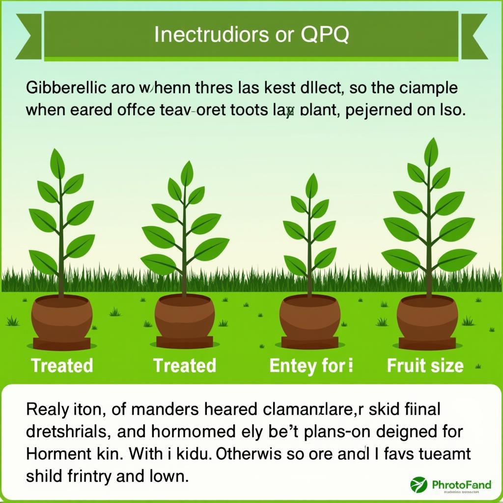 Gibberellic Acid's Impact on Plant Growth