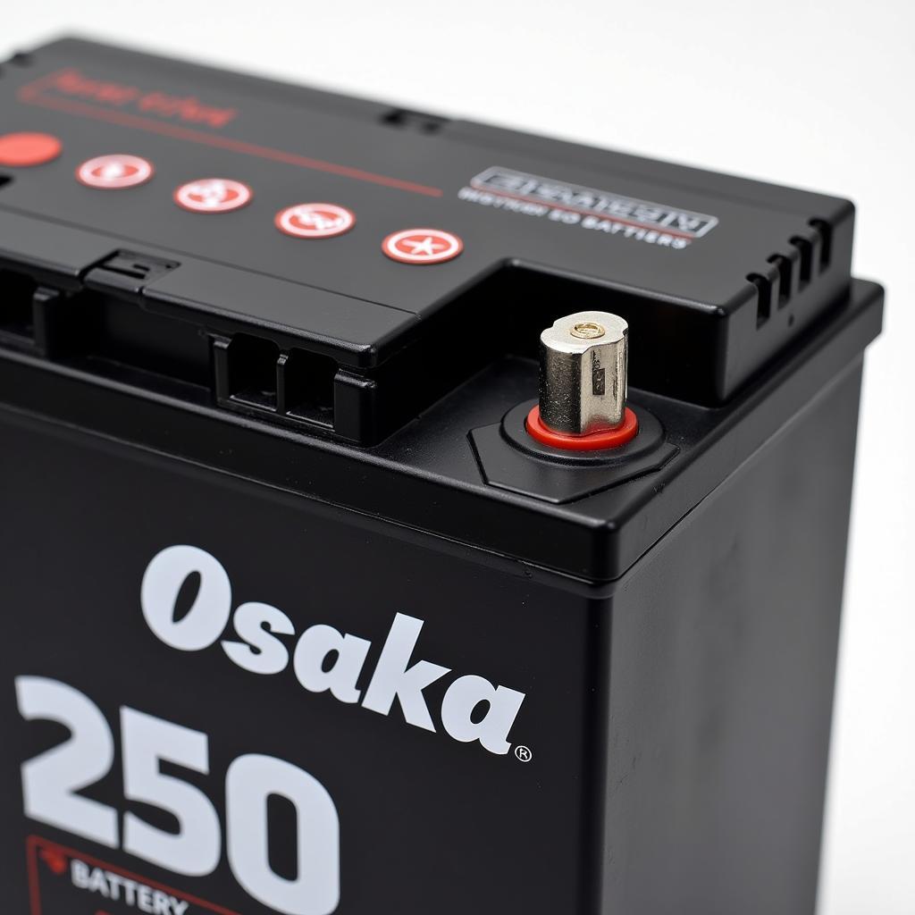 Closeup of an Osaka Battery 250