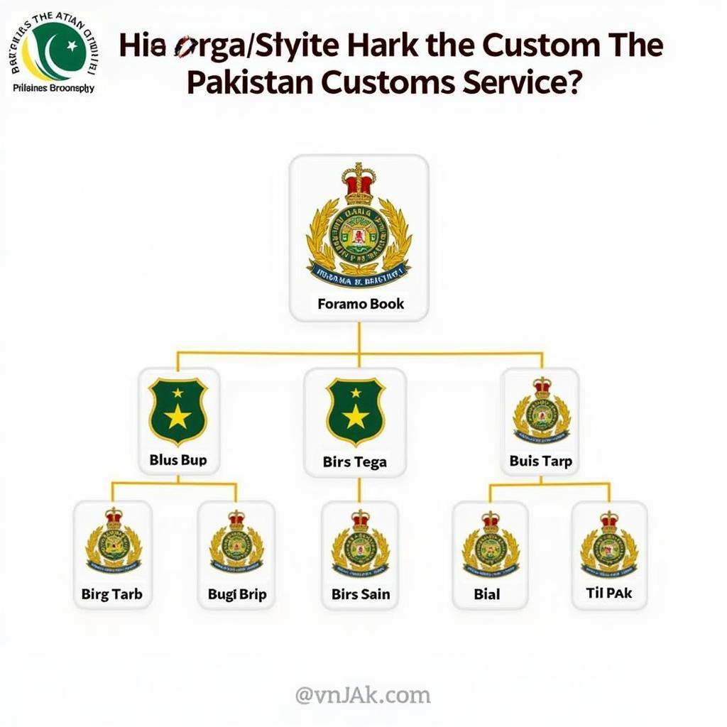 Pakistan Customs Officers Ranks Structure Chart