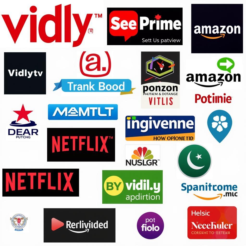 Pakistani Online Movie Streaming Platforms