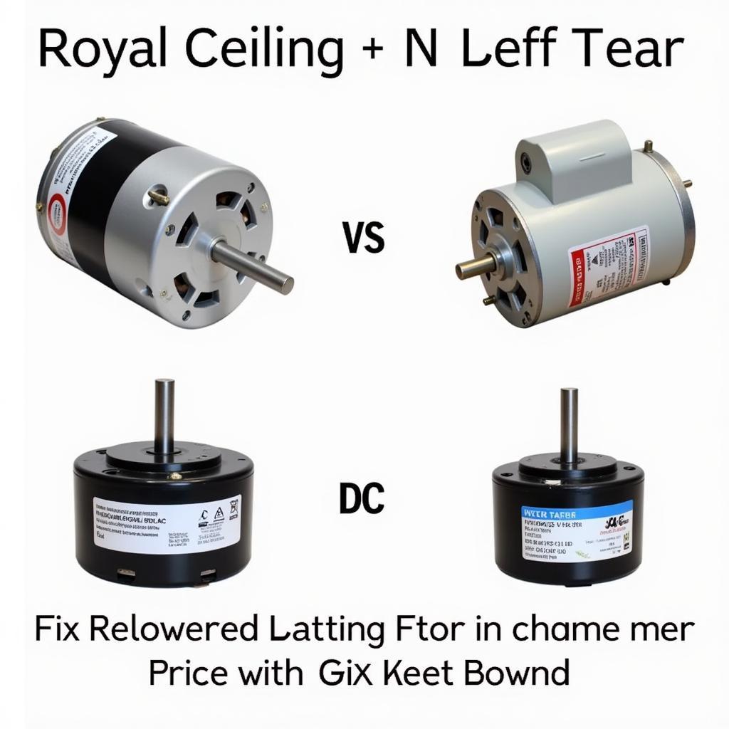 Royal Ceiling Fan Motor Types in Pakistan