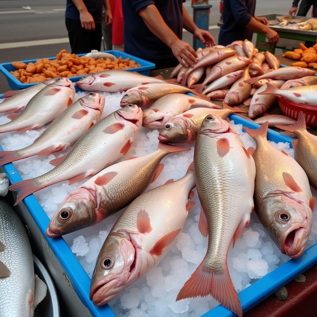 Sole Fish Displayed in a Pakistani Market