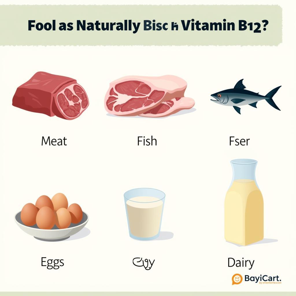 Image showcasing a variety of vitamin B12 rich foods, including meat, fish, eggs, and dairy products.