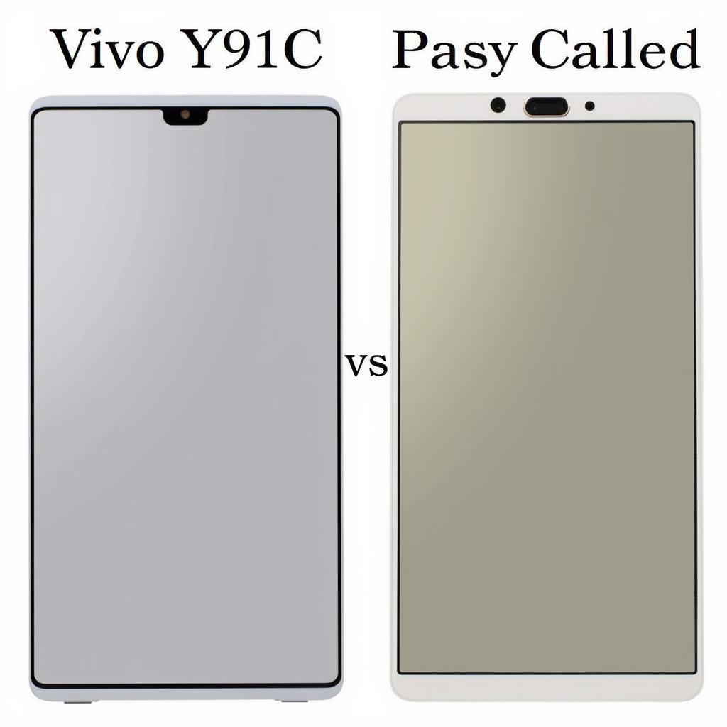 Vivo Y91C Panel Replacement Options