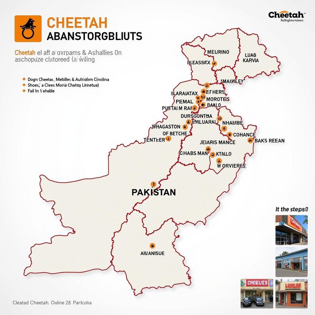 Where to Buy Cheetah 28 Shoes in Pakistan