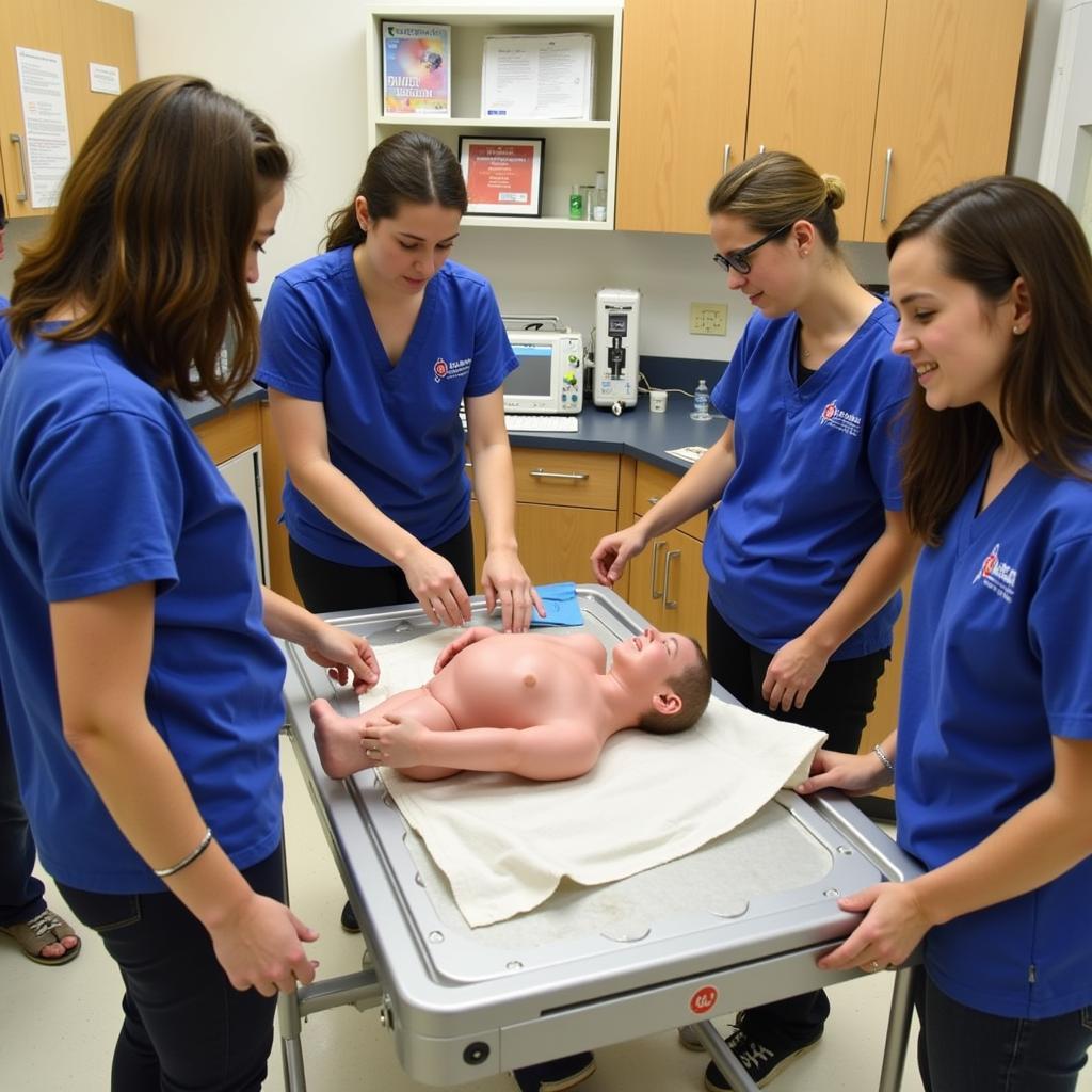 Cardiac Perfusion Students in a Lab Setting