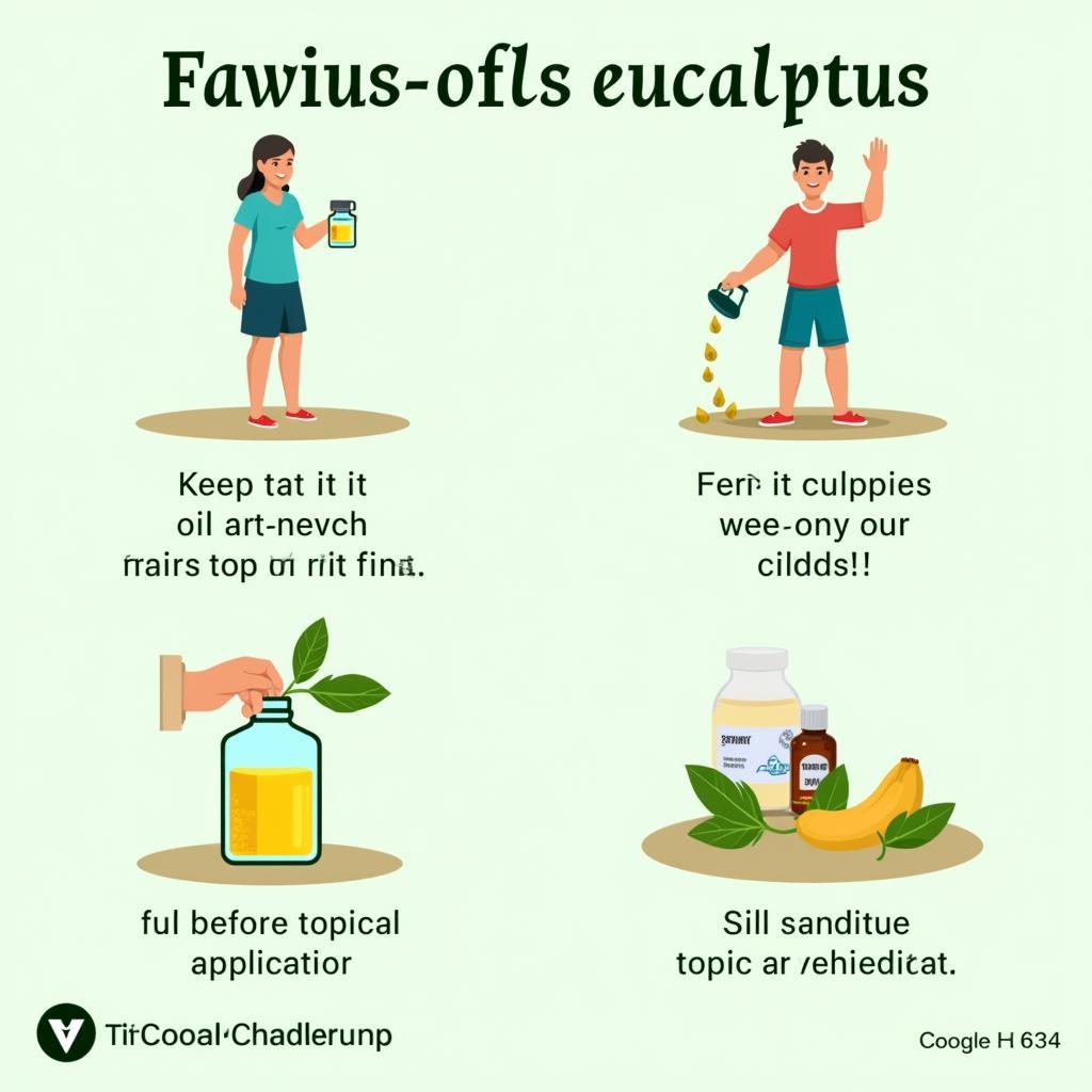 Eucalyptus Oil Safety Precautions in Pakistan