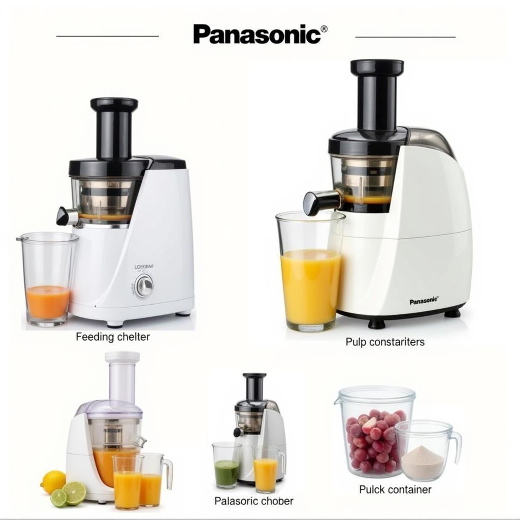 Panasonic Juicer Models Available in Pakistan