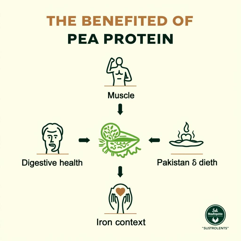 Benefits of pea protein for Pakistani consumers