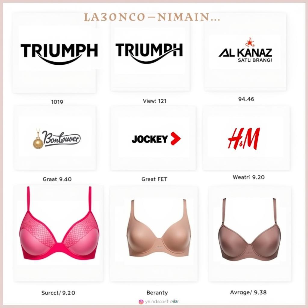 Popular Bra Brands in Pakistan