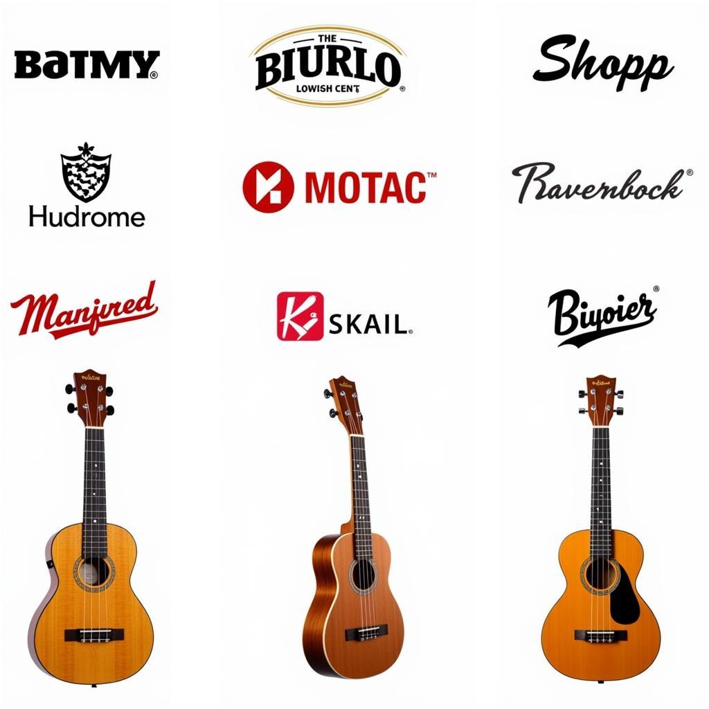 Popular Ukulele Brands in Pakistan