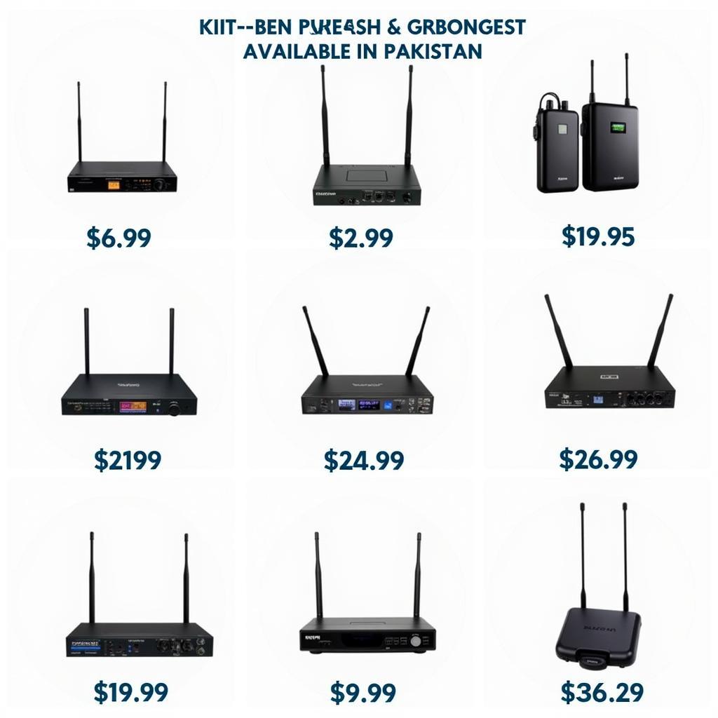 Wireless Microphone Price Range in Pakistan