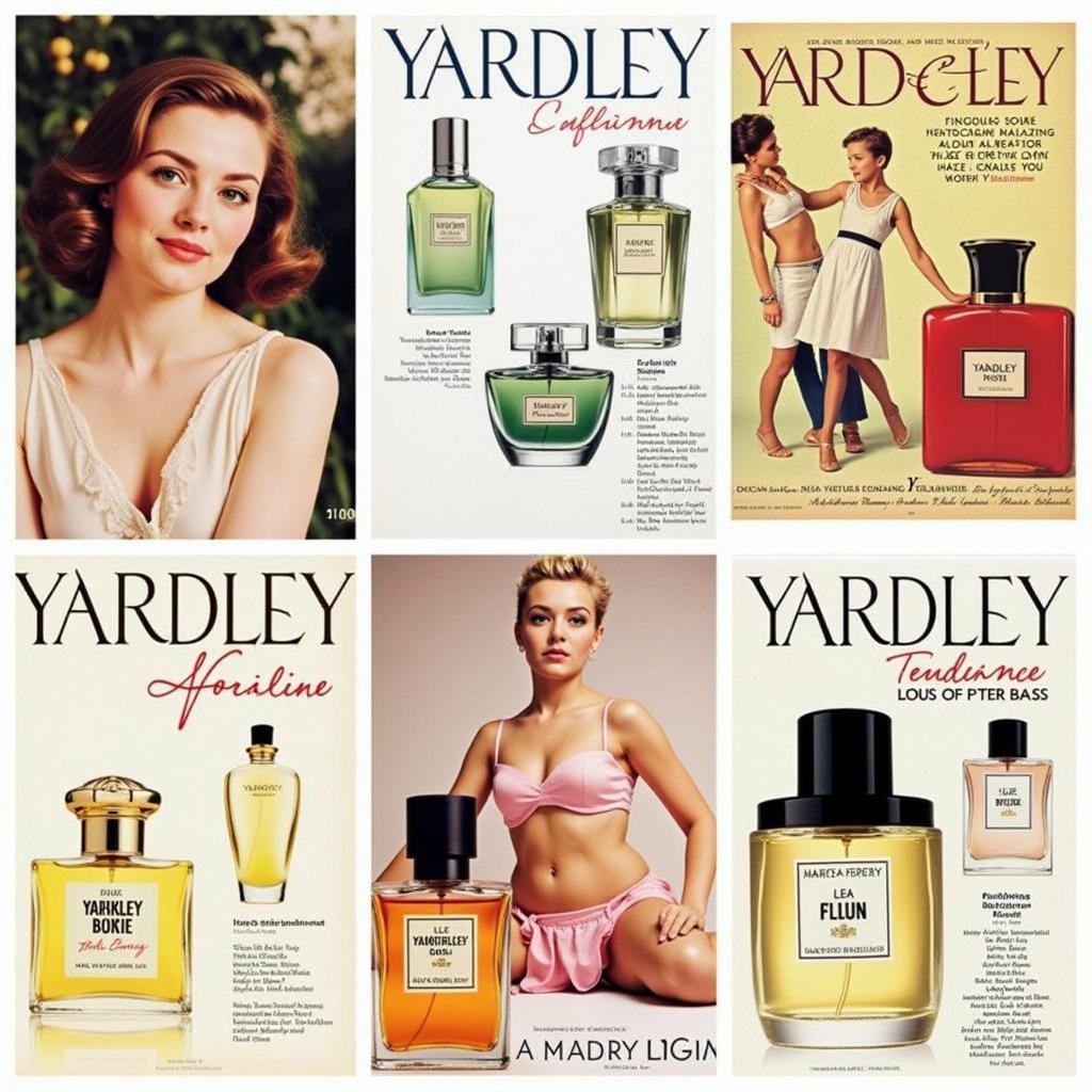 Yardley London's Classic Fragrances